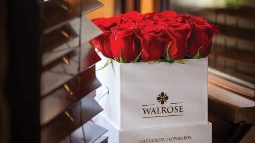 Walrose – More than flowers… memories