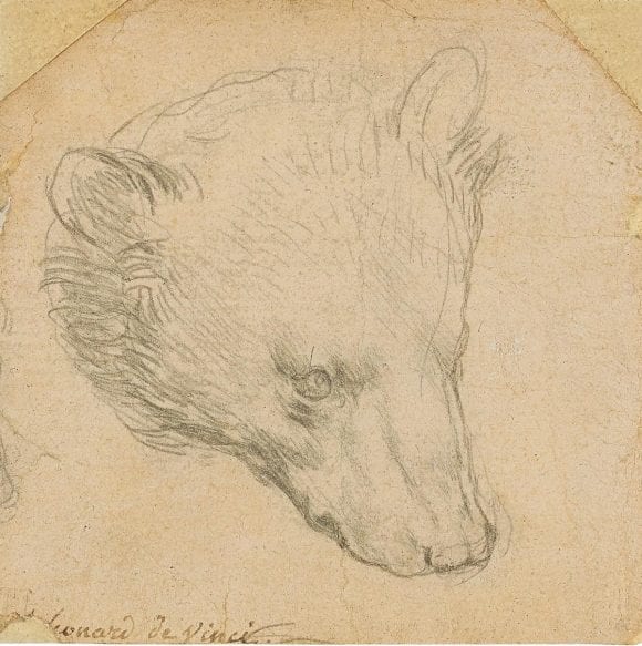 Pictura lui Leonardo da Vinci cu capul unui urs se va vinde la peste 16 milioane de dolari la licitație