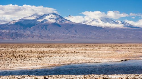 BMW Group se alătură proiectului de exploatare durabilă a litiului din Chile