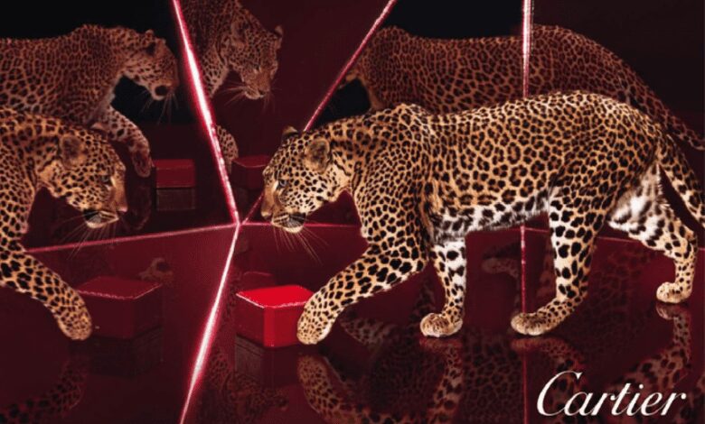 Panthère de Cartier – simbolul luxului feminin