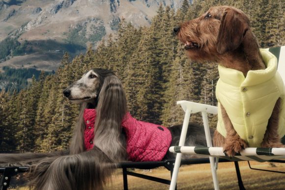 Moncler lansează o colecție de îmbrăcăminte pentru câinele tău