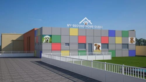 Dubai va avea un resort de lux destinat exclusiv câinilor de talie mică