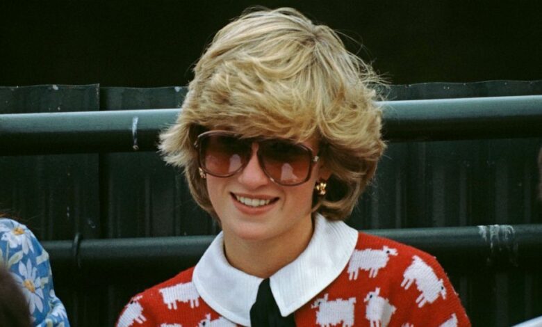Puloverul „Black Sheep” purtat de Prințesa Diana a fost vândut la licitație pentru o sumă record