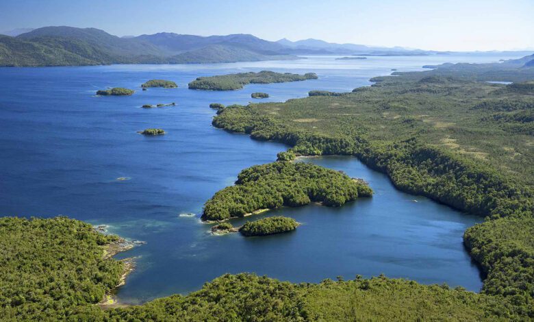 O insulă privată din Patagonia, la vânzare pentru 35 de milioane de dolari